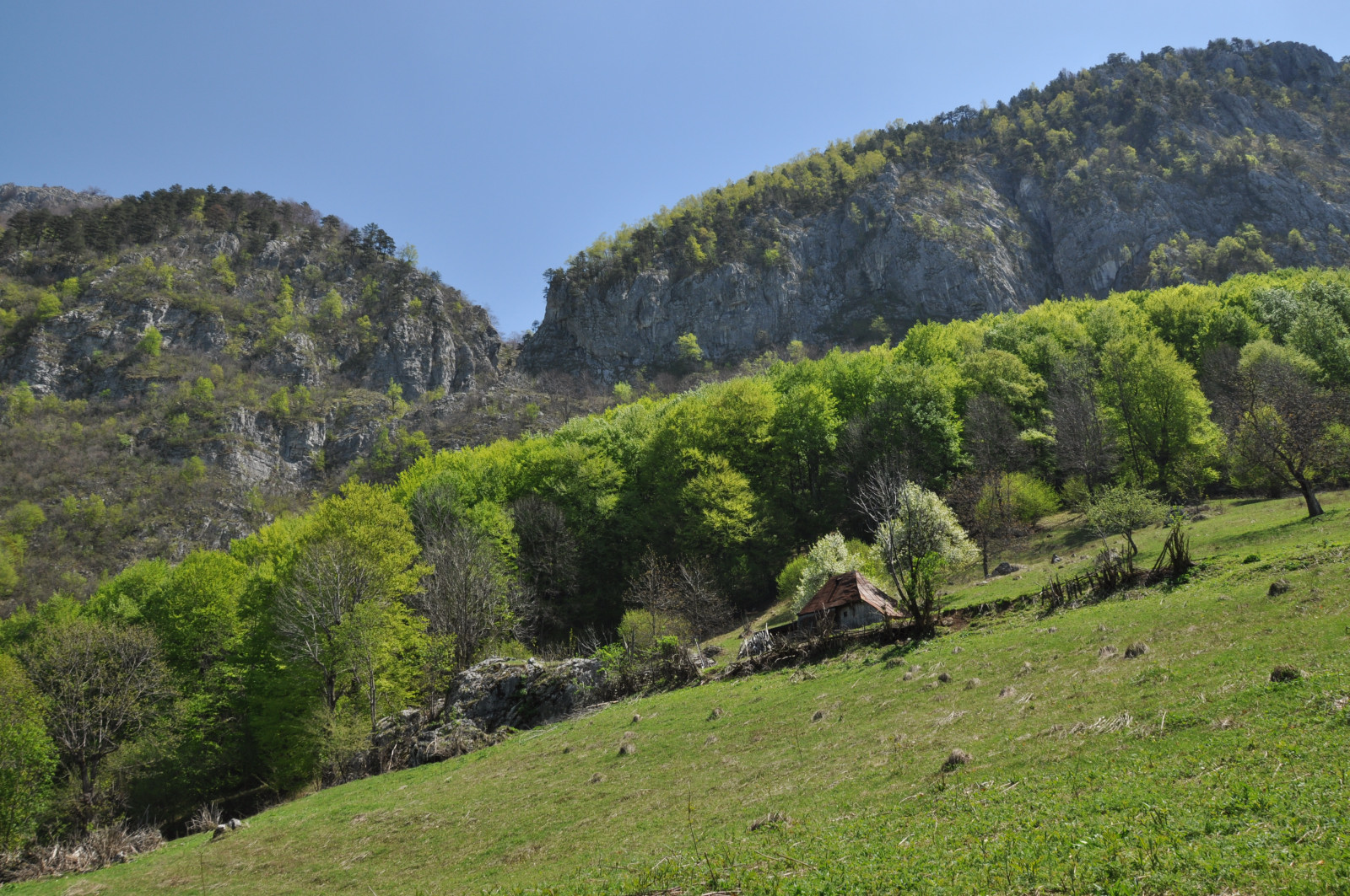 034-Poiana-Tamnei-Fuieroaga-Tamnei-Muntii-Mehedinti