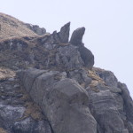 DSCF0020