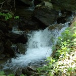 DSCF0252