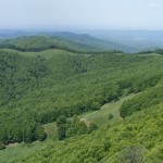 DSCF6532