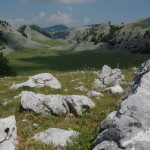 IMGP2012