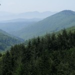 Magura Codlei(01)