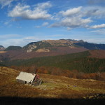 Muntii Grohotis. Stana de pe Piciorul Cailor. 4 decembrie 2011-1142741224