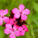 P6010190