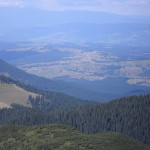 SAM_2083