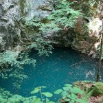album_1336_12789