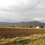 album_articol_1030_976