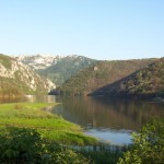 album_articol_1031_1008