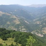 album_articol_1036_1018