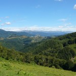 album_articol_1036_1019