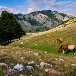 crovurile-din-muntii-mehedinti