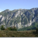 culmea_muntilormehedinti