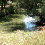 drumuri_dobrogea_22