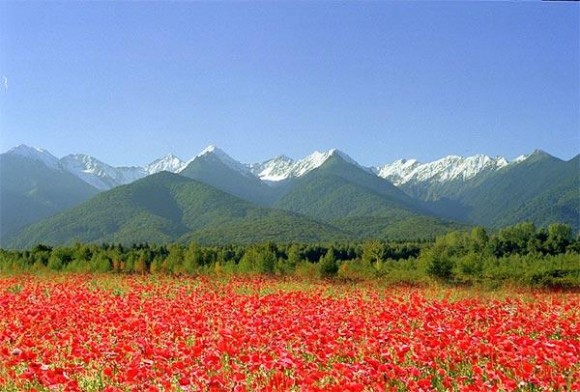 fagaras-munti-580x392