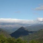 image_17362