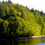 lacul-buhui-muntii-aninei4