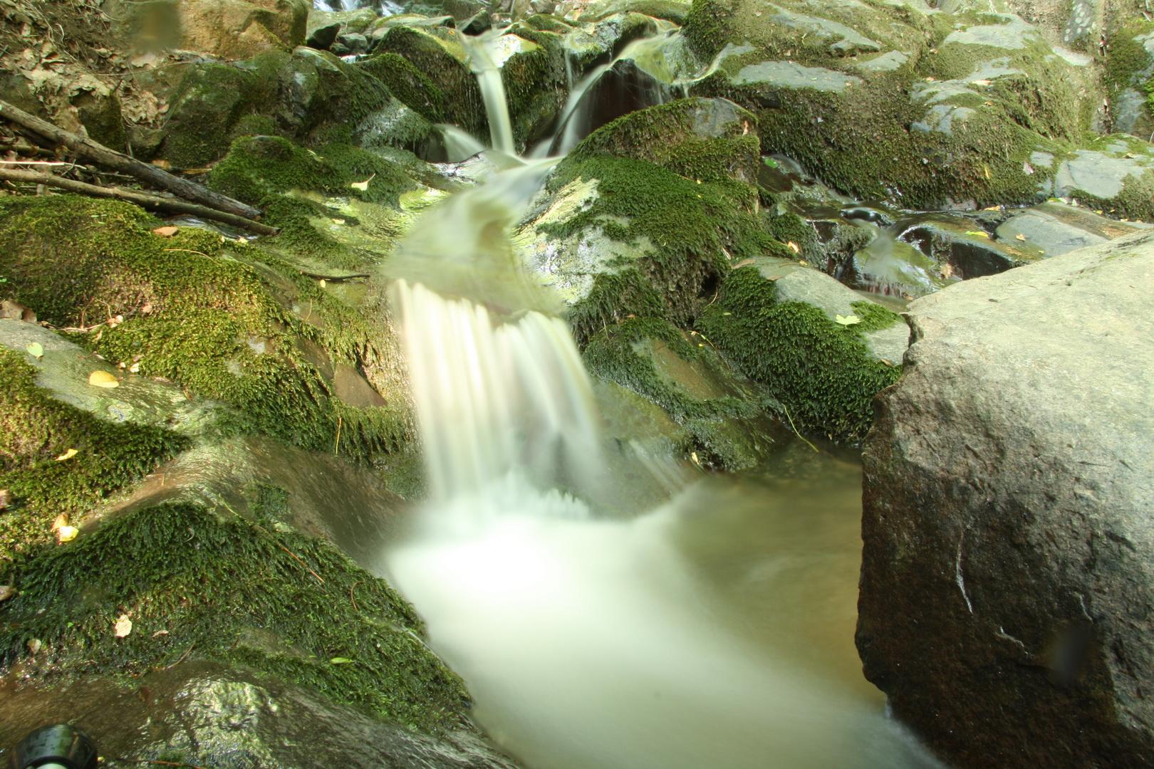 munti-metaliferi-izvor-de-munte-8