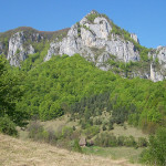 muntii-trascaului
