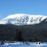sureanu-iarna