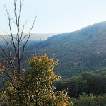 tara-almajului