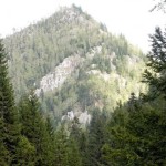 top-100-al-proprietarilor-de-paduri-din-romania-vezi-care-este-cel-mai-mare-mosier-al-tarii-1500671