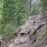 tragedie-in-muntii-bihorului-0