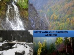 1393875797_BISTRITA ARDELEANA
