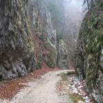 15_IMG_1213_prapastiile_zarnestilor