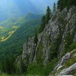 284px-Bihor27