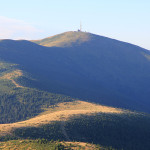 3485_bihor