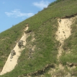 845_rapa-cu-papusi_640