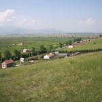 98d4ac582e9df93457342ff393c1acbb