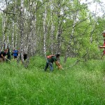 CCN_RM_GMM_Scarita_Marcaje_iun2014_16