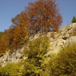 Cheile-Dopca-20110117095136
