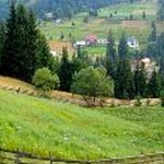 Cheile-Gardisoarei-800x390