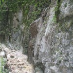 Cheile-Zarnesti-20110117100252