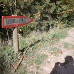 DSC09021