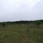 DSCF5950