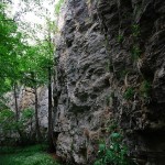 DSC_0513-300x448