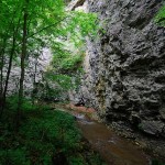 DSC_0524-300x448