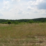 IMG_3040
