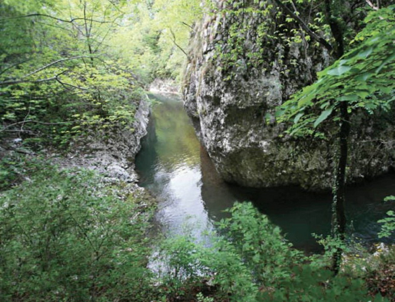Parcul National Semenic Cheile Carasului3