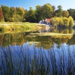 Parcul-Natural-Lunca-Muresului-630x472