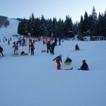Partia-Piatra-Graitoare-20110224143246