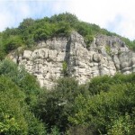 Piatra-Corbului-de-la-Budacu-de-Sus-20110503143256