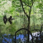 Rezervatia-naturala-Balta-Soimos-20120619105943