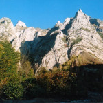 ScaritaBelioara