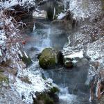 articles_1_318