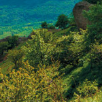 banner011