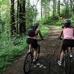 biciclete-2